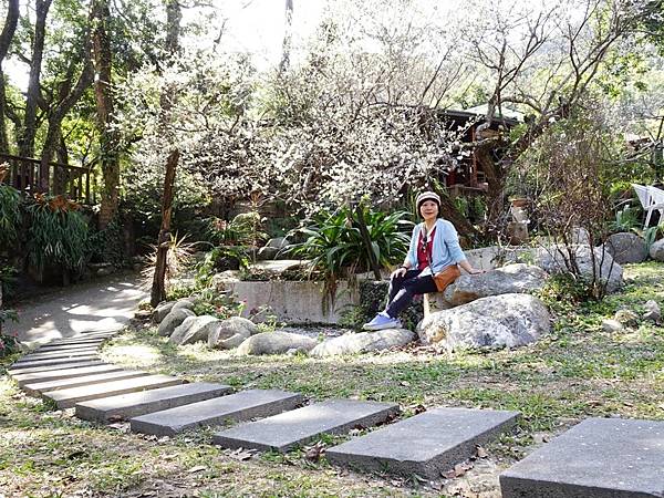 新社梅林親水岸賞梅順遊風林谷.安妮公主花園.白冷圳紀念公園