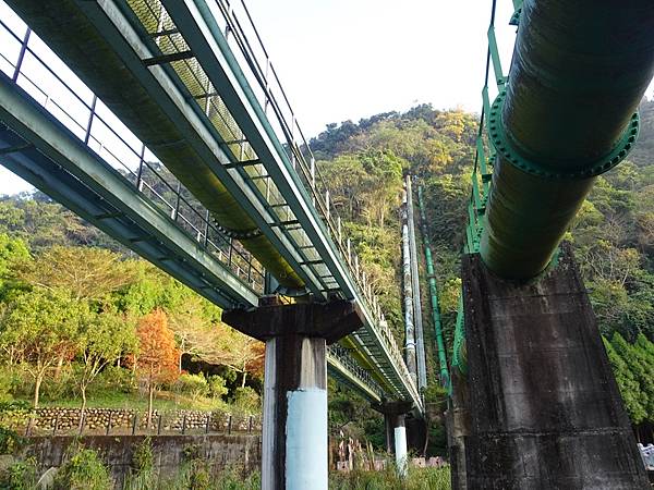 新社梅林親水岸賞梅順遊風林谷.安妮公主花園.白冷圳紀念公園