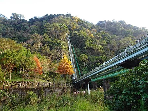 新社梅林親水岸賞梅順遊風林谷.安妮公主花園.白冷圳紀念公園