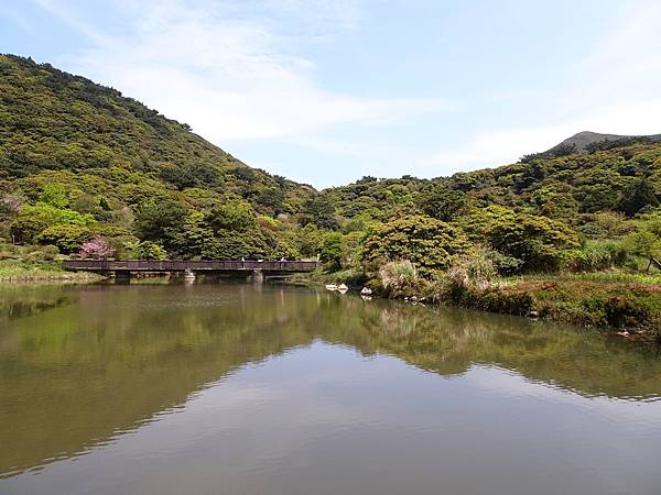 二子坪大屯自然公園櫻花開.陽明山秘境咖啡館--山上聊