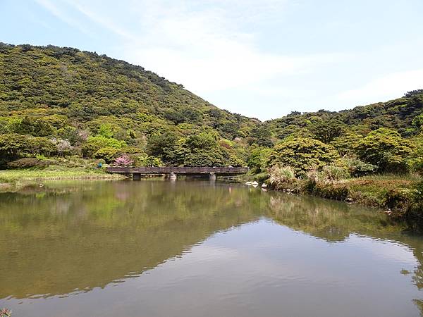 二子坪大屯自然公園櫻花開.陽明山秘境咖啡館--山上聊