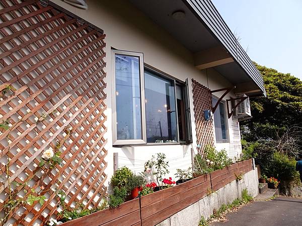 二子坪大屯自然公園櫻花開.陽明山秘境咖啡館--山上聊