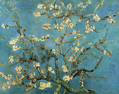 Blossoming Almond Tree