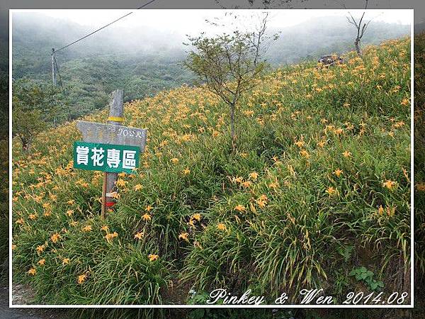 太麻里125