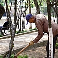 大觀樓園區-渾然未覺