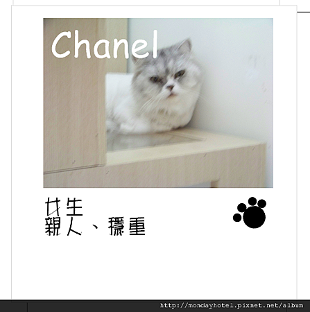 chanel.png