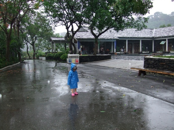 穿著雨衣也要玩