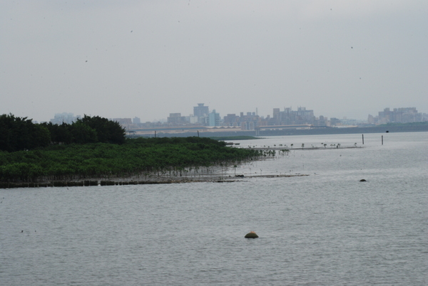 DSC_0214.JPG