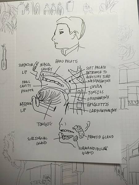 IMG_7548.JPG IMG_7548.JPG