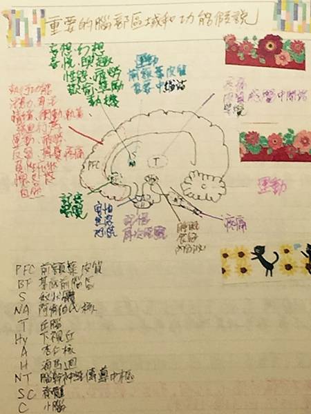 IMG_9676.JPG IMG_9676.JPG