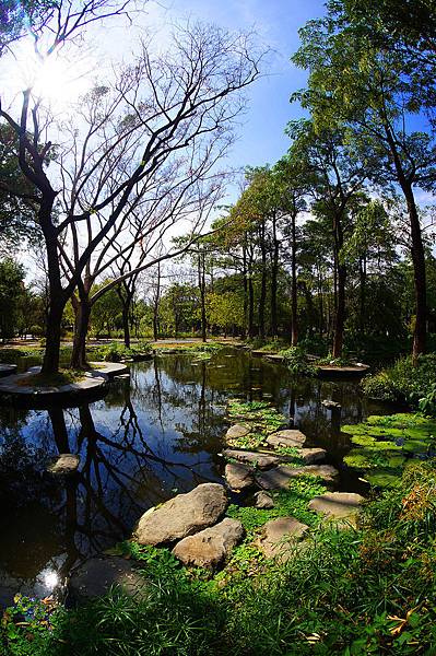 高雄紀梵希婚紗New景點~水漾森林 陽光灑落如鏡的湖面,隨著光景的變化表現出如畫版的美麗,倒映出筆直的樹木佇立, 平靜的水面反射出樹木與天空的倒影，