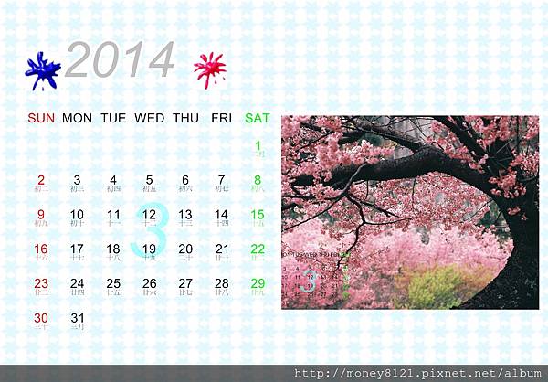 3月武陵農場~花霏花.jpg