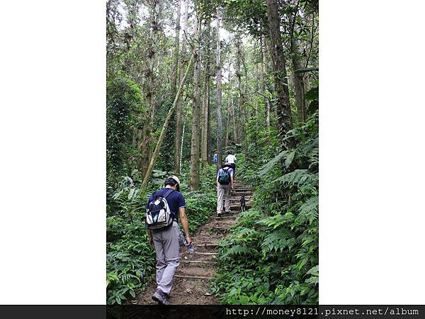 馬那邦山 (29).jpg