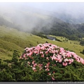 2014.05.17合歡東賞杜鵑 ~ (17).jpg
