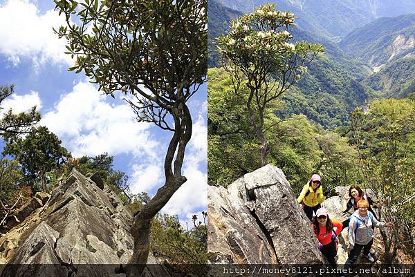 2015.04.16鳶嘴山~ (8).jpg 2015.04.16鳶嘴山~ (8).jpg