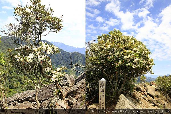 2015.04.16鳶嘴山~ (34).jpg 2015.04.16鳶嘴山~ (34).jpg