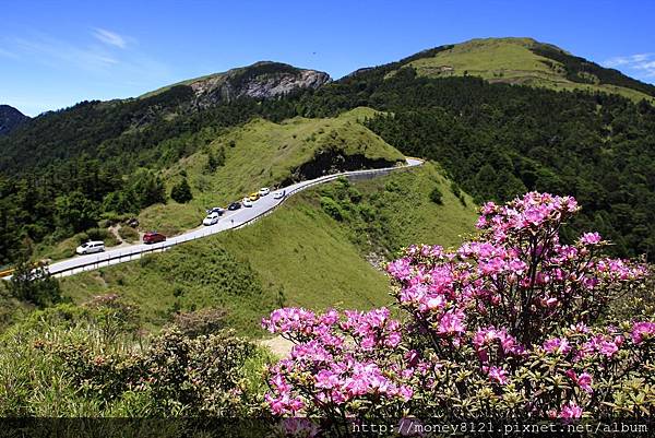 2015.06.02合歡北峰 (2).jpg 2015.06.02合歡北峰 (2).jpg