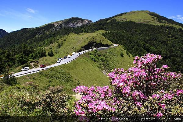 2015.06.02合歡北峰 (2).jpg