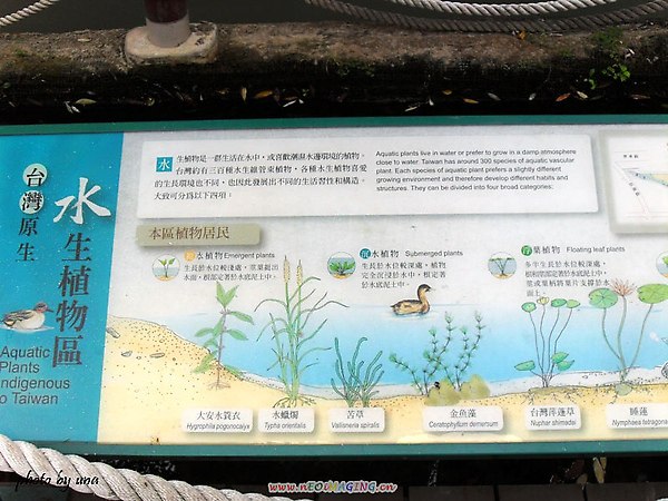 SDC10659.JPG SDC10659.JPG