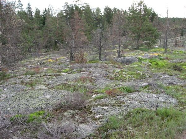 another landscape