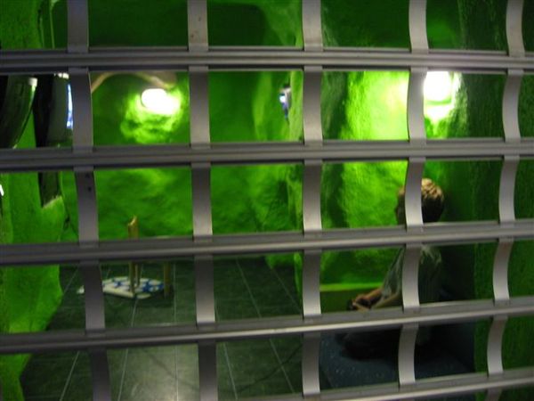 prison break!!