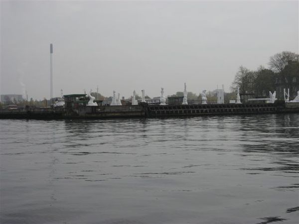 IMG_2250.jpg