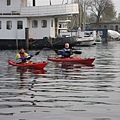 IMG_2255.jpg