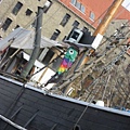 IMG_2256.jpg