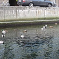 IMG_2265.jpg