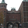 IMG_2393.jpg