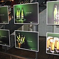 IMG_2407.jpg