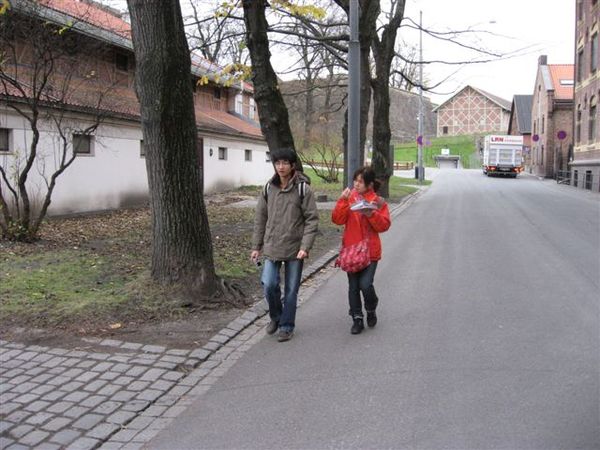 IMG_2645.jpg