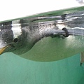 IMG_2807.jpg