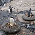 IMG_2813.jpg