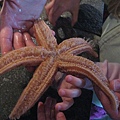 IMG_2822.jpg