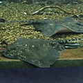 IMG_2857.jpg