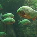 IMG_2863.jpg