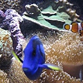 IMG_2872.jpg