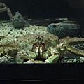IMG_2875.jpg