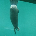 IMG_2879.jpg