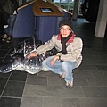 IMG_2888.jpg