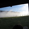 IMG_2929.jpg