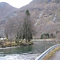 IMG_3011.jpg