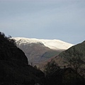 IMG_3013.jpg