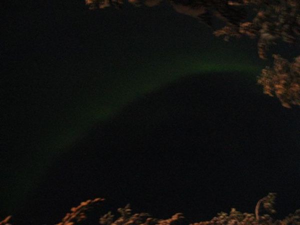 IMG_3176.jpg