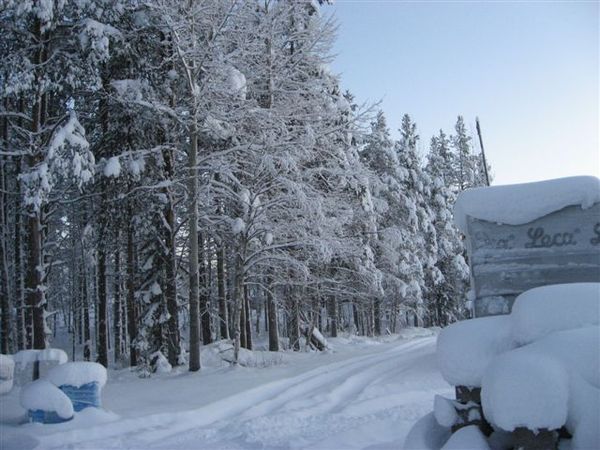 IMG_3180.jpg