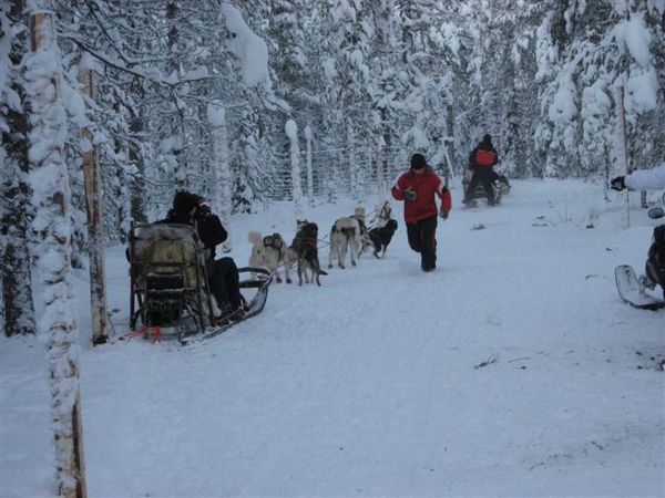 IMG_3197.jpg