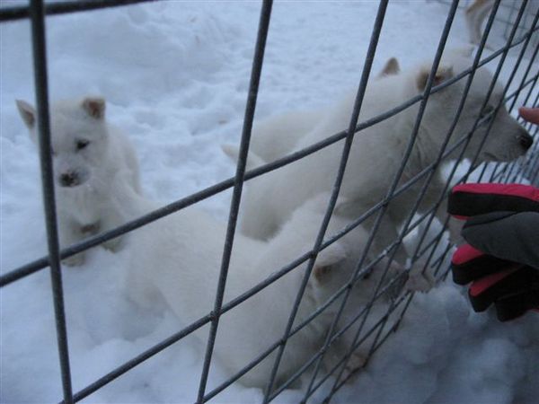 IMG_3205.jpg