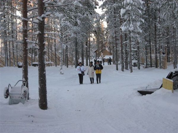 IMG_3218.jpg
