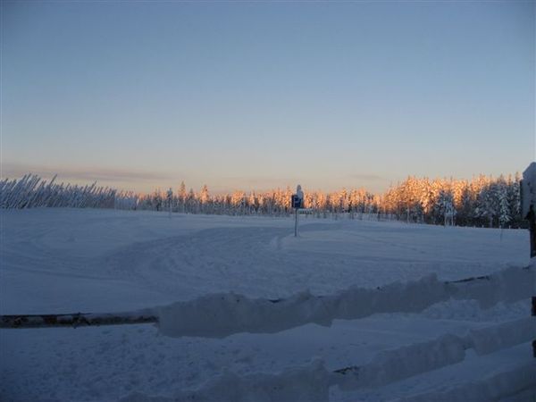 IMG_3225.jpg